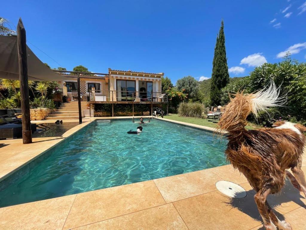 El Paraiso De Los Perros Polop Ngoại thất bức ảnh